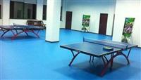 乒乓球地板，乒乓球专用地板，乒乓球地板价格