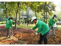 深圳市政绿化工程、深圳园林绿化工程公司