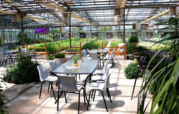 玻璃温室厂家 生态餐厅