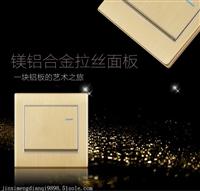 jxm-X9-纯平铝拉丝墙壁开关