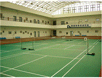 北京羽毛球地胶，羽毛球地板，北京奥丽奇地板