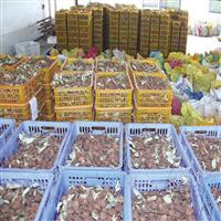 全新龙眼荔枝烘干机 厂家定制龙眼荔枝烘干设备报价