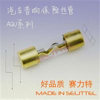 供应10*38mm玻璃保险丝管 AGU汽车音响保险丝管
