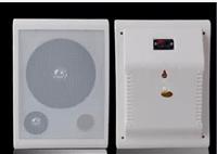 2017全新有源壁挂音箱