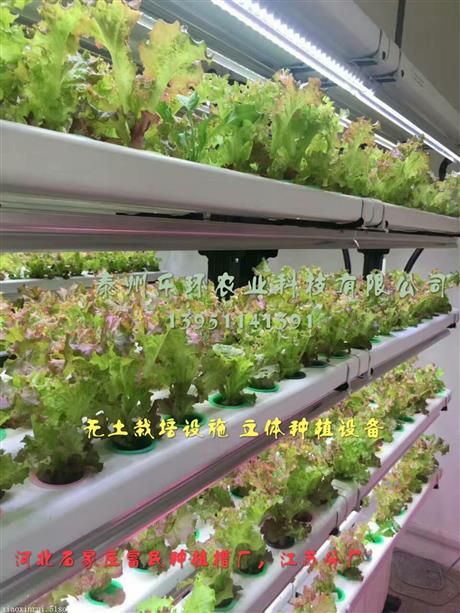 【廣西來賓市草莓立體種植槽報價】價格,廠家,溫室設施-搜了網