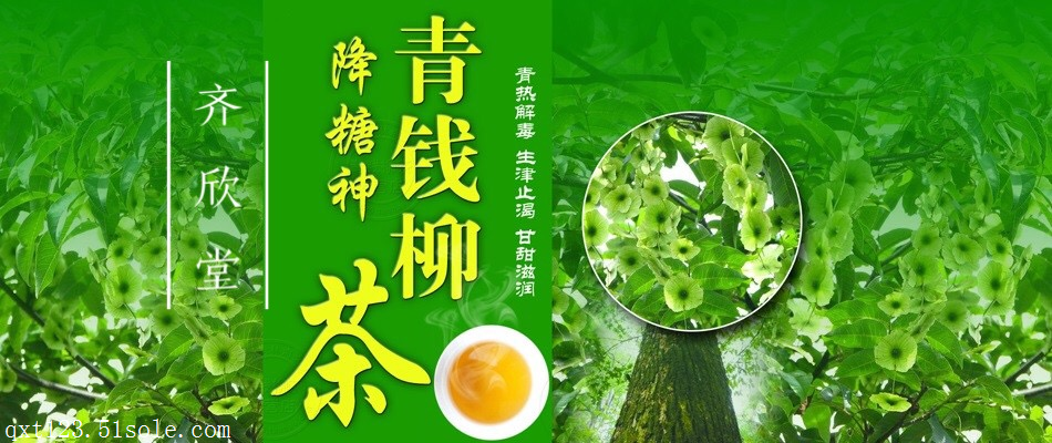 降糖茶青钱柳原叶茶贴牌