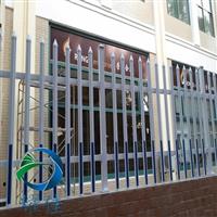 pvc草坪围栏生产厂家用于点缀庭院绿地园林小径-耀佳