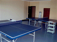 乒乓球地板，室内乒乓球地板，pvc乒乓球地板